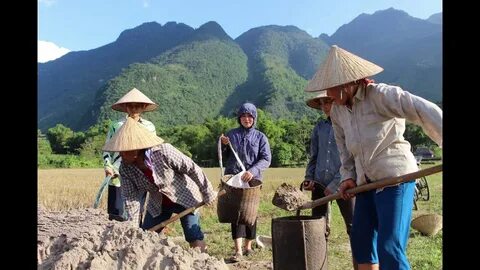 Cách Khởi Nghiệp Kiếm Tiền Bán Thời Gian Dành Cho Người Mới